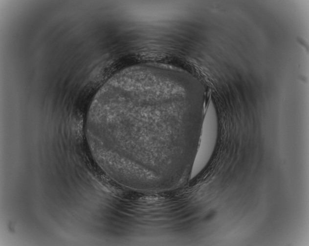 X0000091010745200708241512