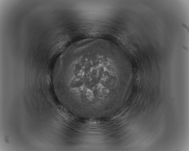 X0000091010746200708241512