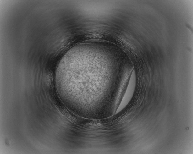 X0000091010747200708241512