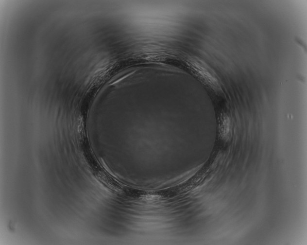 X0000091010748200708241512