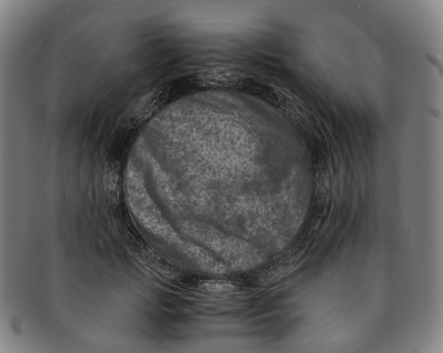 X0000091010749200708241512