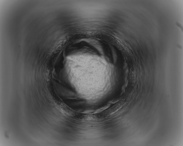 X0000091010750200708241512