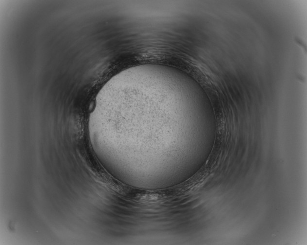 X0000091010751200708241512