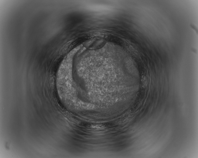 X0000091010753200708241512