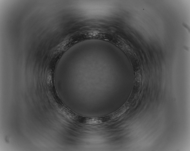 X0000091010754200708241512