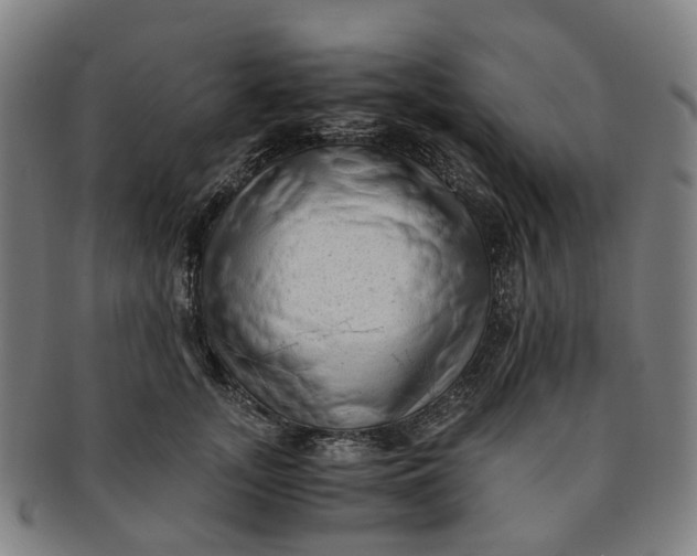 X0000091010755200708241512