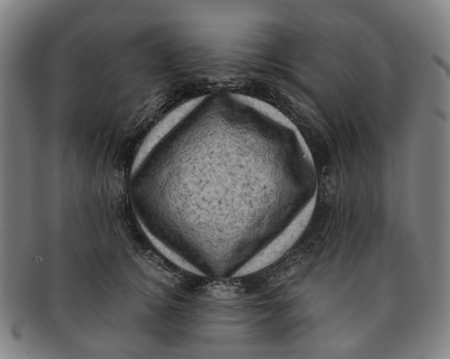 X0000091010756200708241512