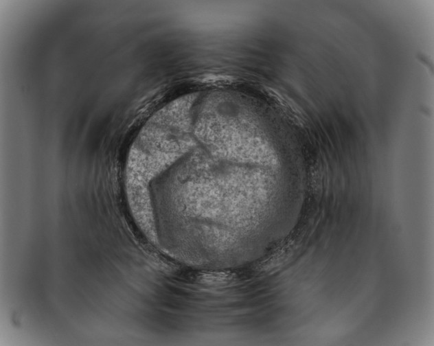 X0000091010757200708241512