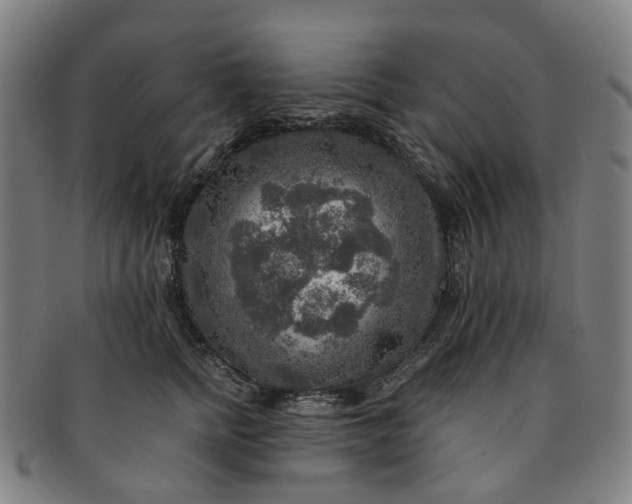 X0000091010758200708241512