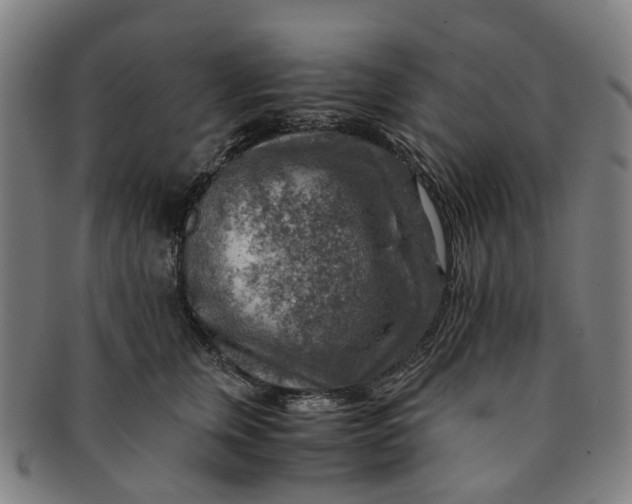 X0000091010759200708241512