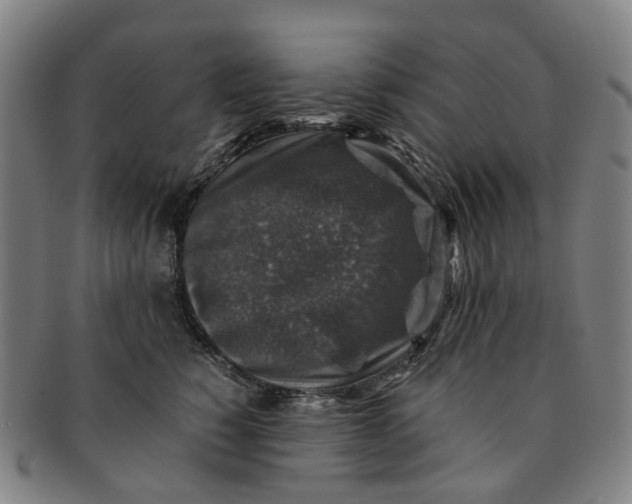 X0000091010760200708241512