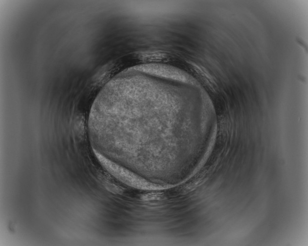 X0000091010761200708241512