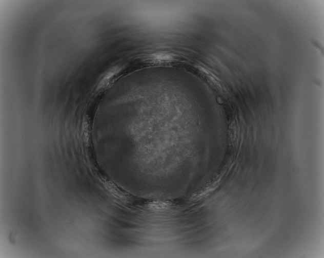 X0000091010762200708241512