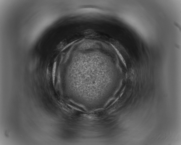 X0000091010763200708241512