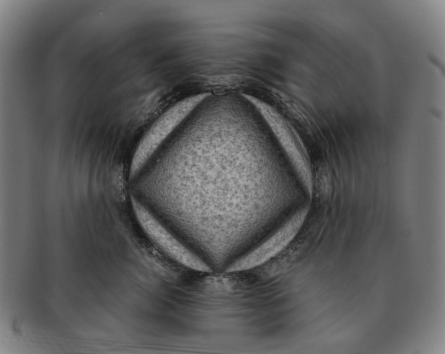 X0000091010764200708241512