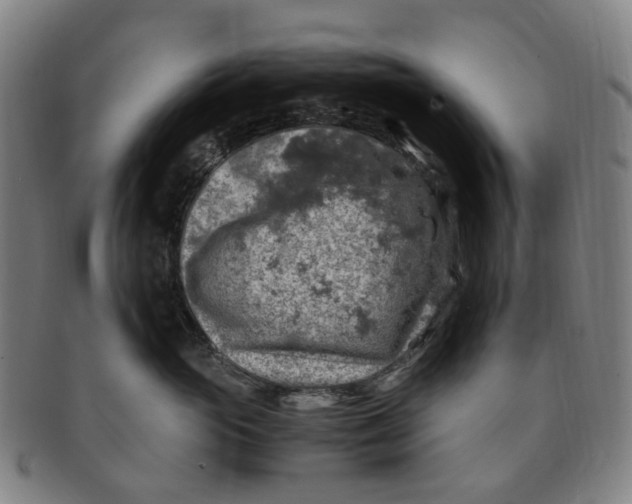 X0000091010765200708241512