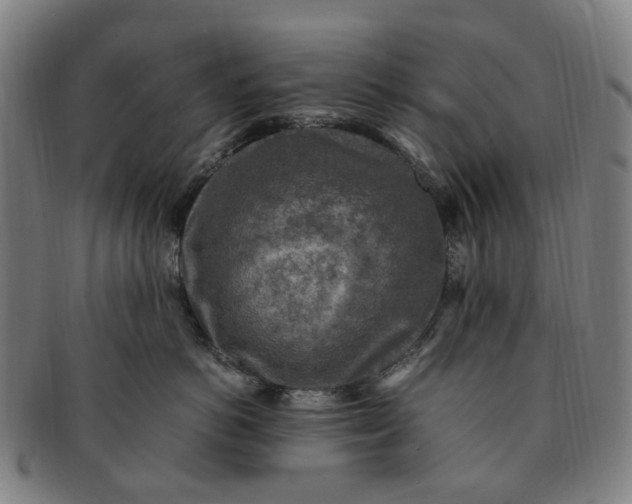 X0000091010766200708241512