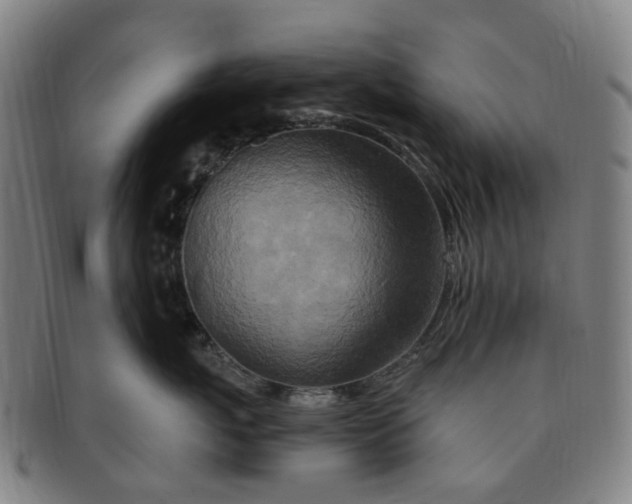 X0000091010767200708241512