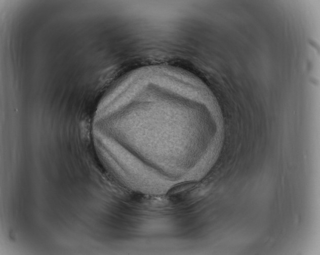 X0000091010768200708241512