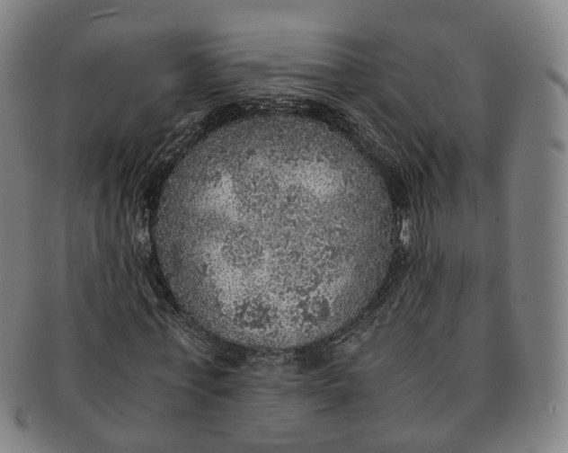 X0000091010771200708241511