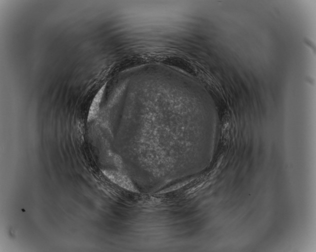 X0000091010772200708241511