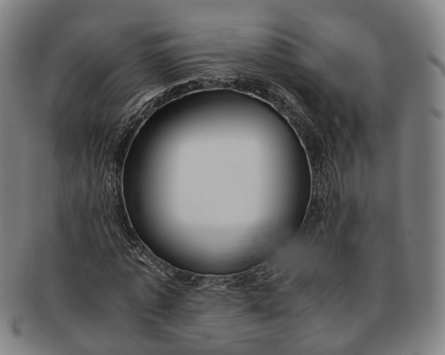 X0000091010773200708241511