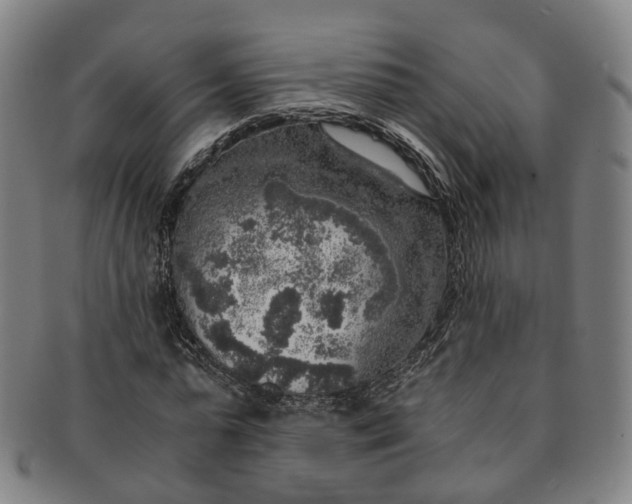 X0000091010775200708241511