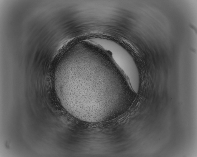 X0000091010776200708241511