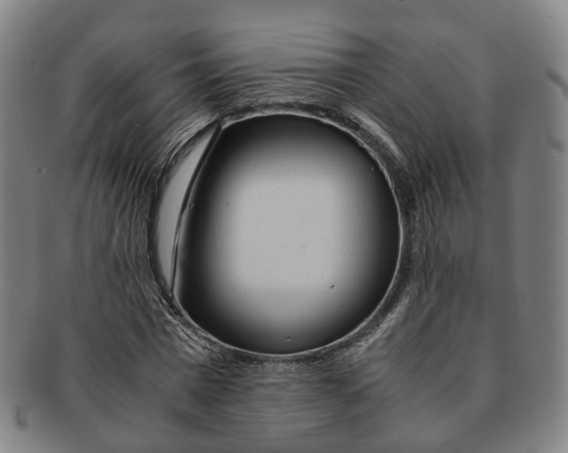 X0000091010777200708241511