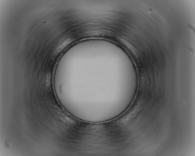 X0000091010778200708241511