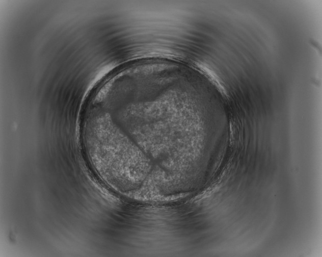 X0000091010780200708241511