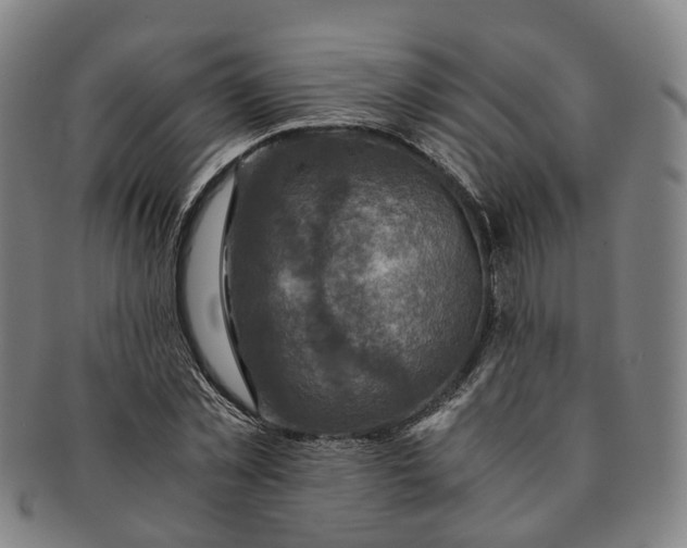 X0000091010781200708241511