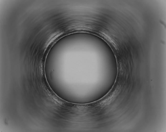 X0000091010782200708241511