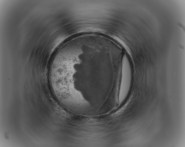 X0000091010783200708241511