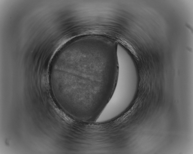 X0000091010784200708241511