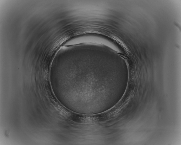 X0000091010785200708241511