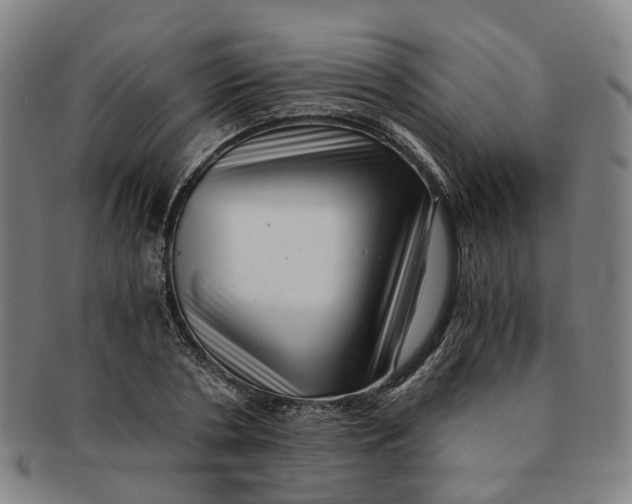 X0000091010786200708241511