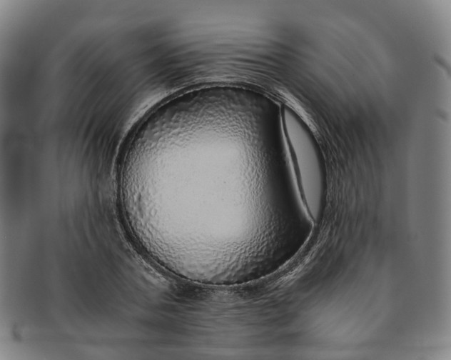 X0000091010787200708241511