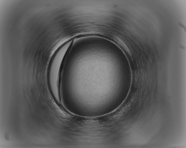 X0000091010789200708241511