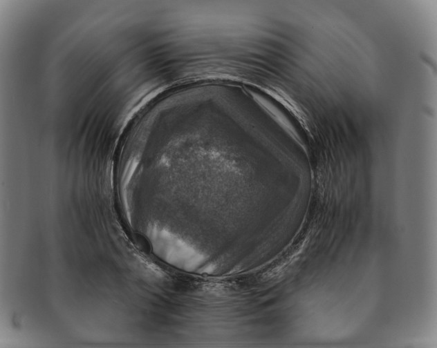 X0000091010790200708241511