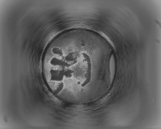 X0000091010791200708241511