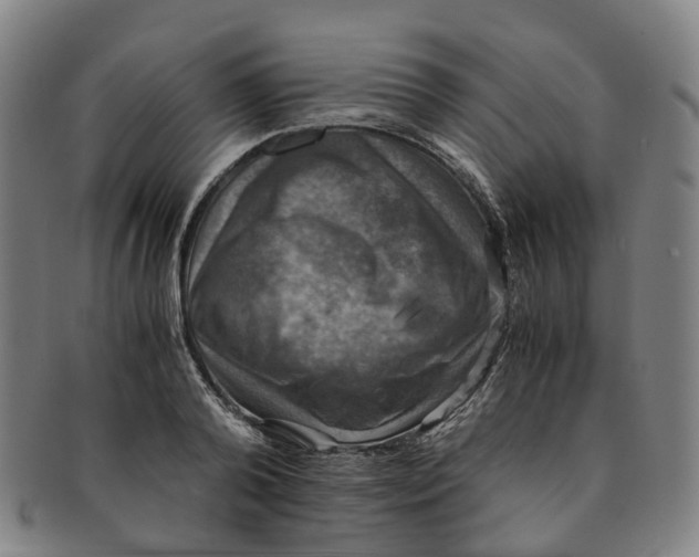 X0000091010792200708241511