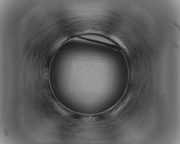 X0000091010793200708241511