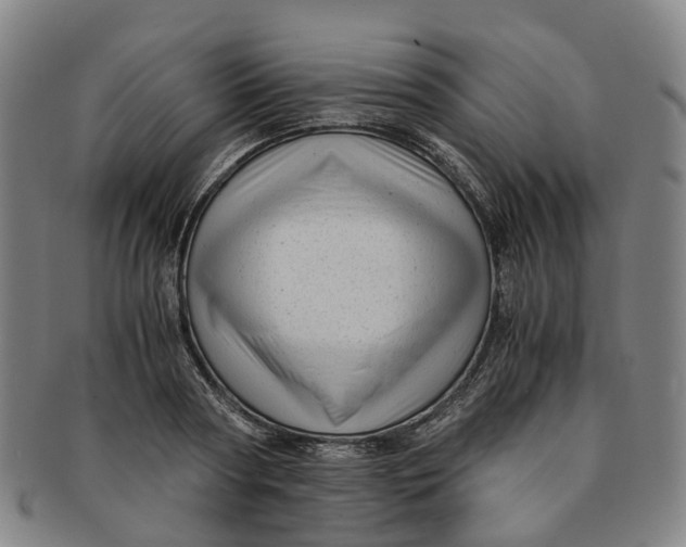 X0000091010794200708241511