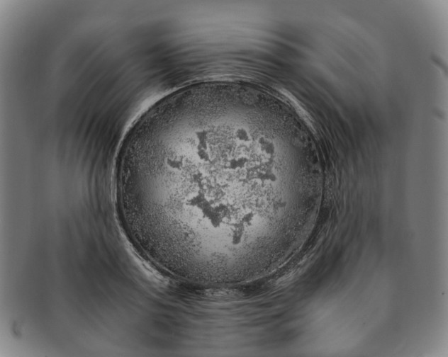 X0000091010795200708241511