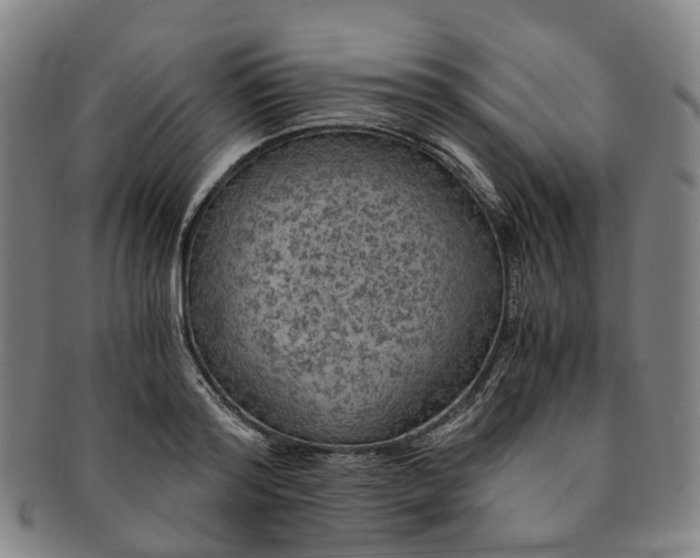 X0000091010796200708241511