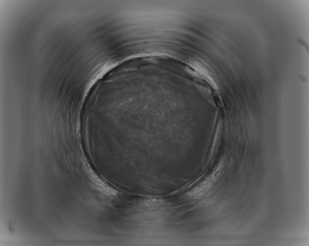 X0000091010797200708241511