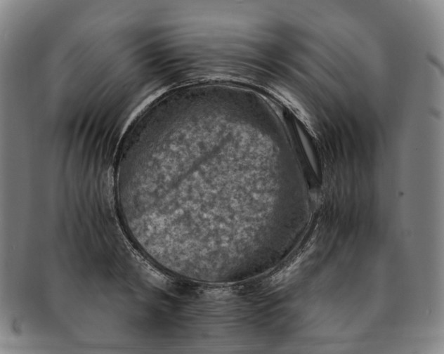 X0000091010798200708241511