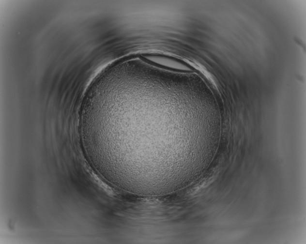 X0000091010799200708241511