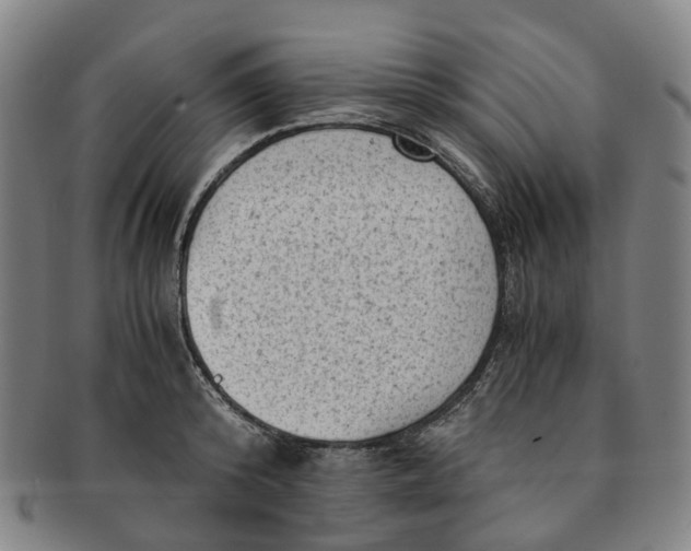 X0000091010800200708241511